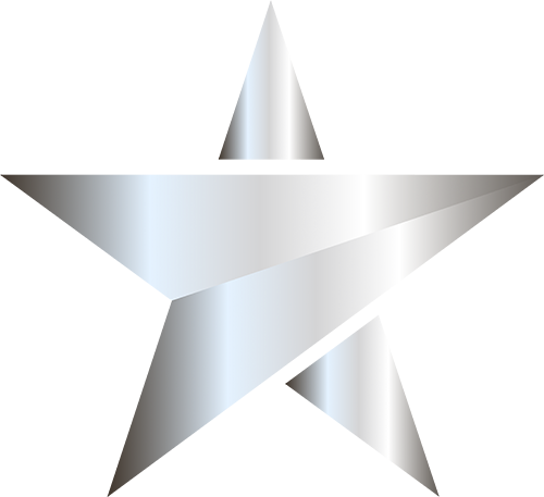 Iron Stars